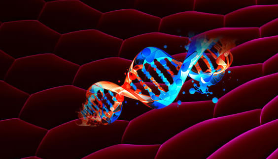 PDA Advanced Therapy Medicinal Products Conference 2025